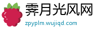 霁月光风网